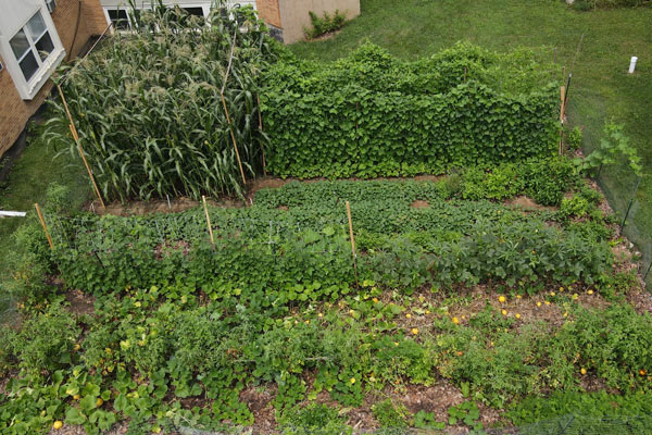 The Garden Food System and Diffusion of Innovation Part II
