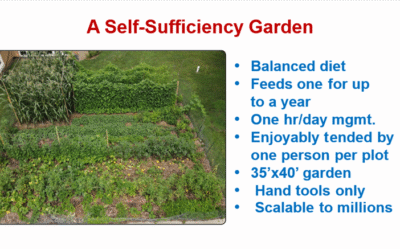 Self-Sufficiency Gardening – What Exactly Is It?