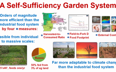 Setting the Stage for a Self-Sufficiency Garden Food System