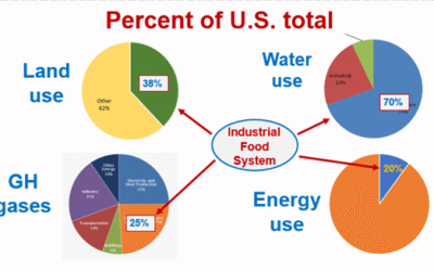 The Significance of a Self-Sufficiency Food System
