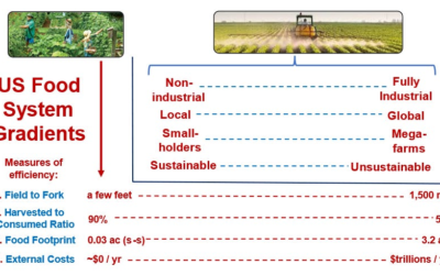 The Surprising Economy of Scale