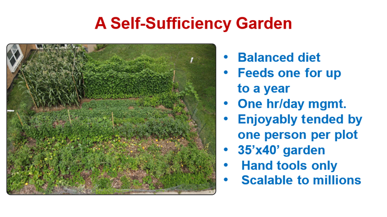 Self-Sufficiency Gardening – What Exactly Is It?