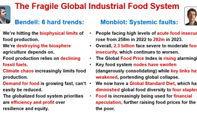 The Food System in Slow-Motion Freefall