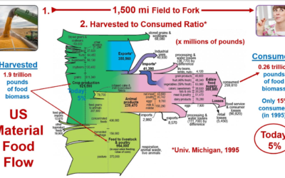 The Industrial Hidden-Costs Economy of Illusion