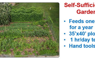 Expanding a Starter Self-Sufficiency Garden
